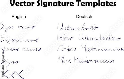 Vector Signature Templates