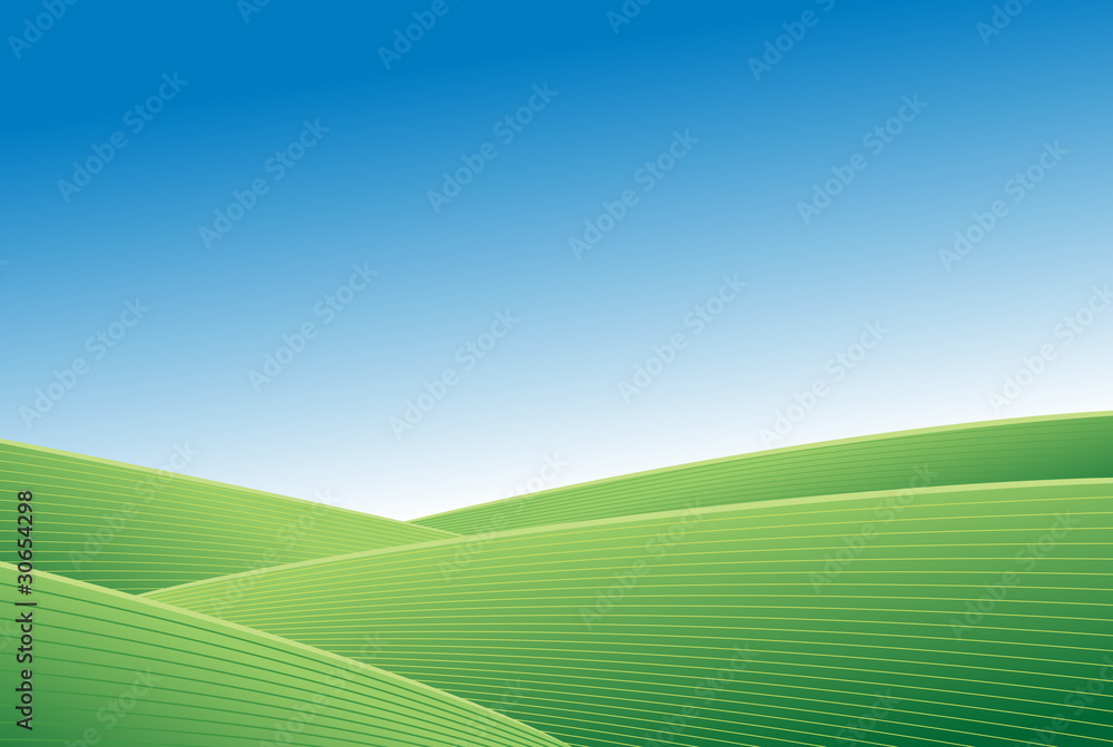 Obraz premium Green field and blue sky