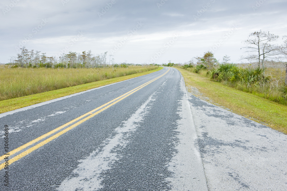 road in Everglades National Park, Florida, USA road in Everglades National Park, Florida, USA