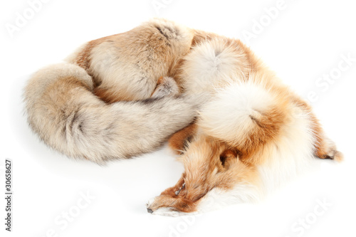 Fox winter furry skin #1. Taxidermy | Isolated