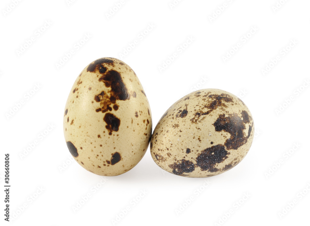 two quail eggs isolated on white background two quail eggs isolated on white background