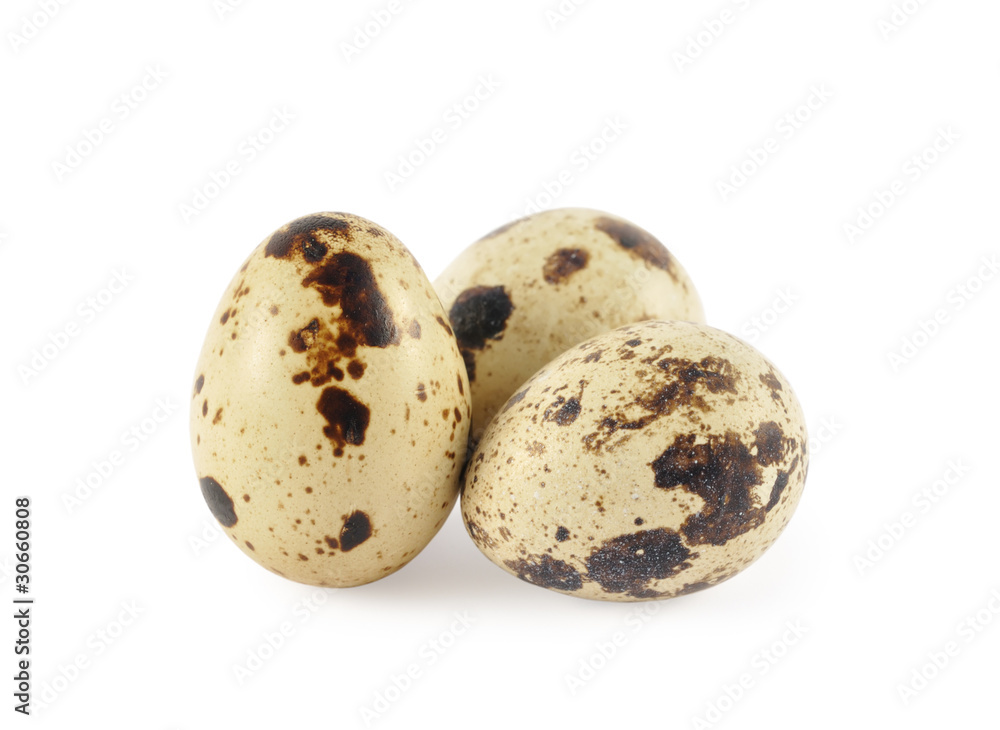 quail eggs isolated on white background quail eggs isolated on white background