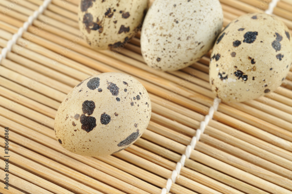 quail eggs quail eggs