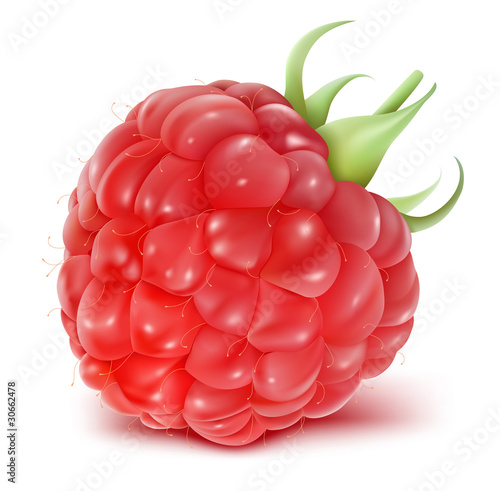 Vector illustration of ripe raspberry.