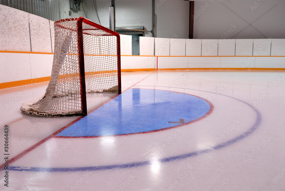 Obraz premium Hockey or Ringette Net and Crease in the Rink