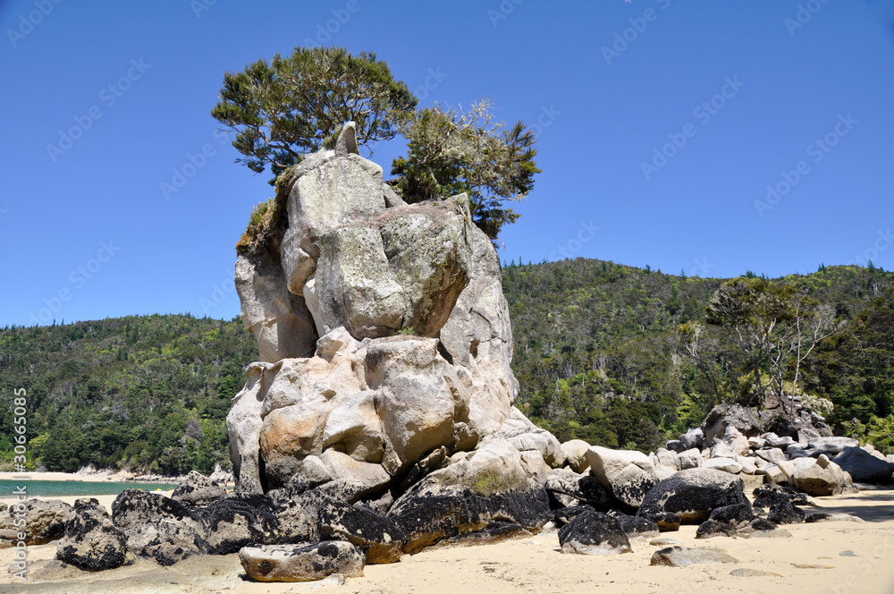 Rock at Abel Tasman national park