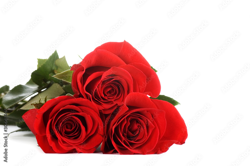 Red rose isolated on white background Red rose isolated on white background