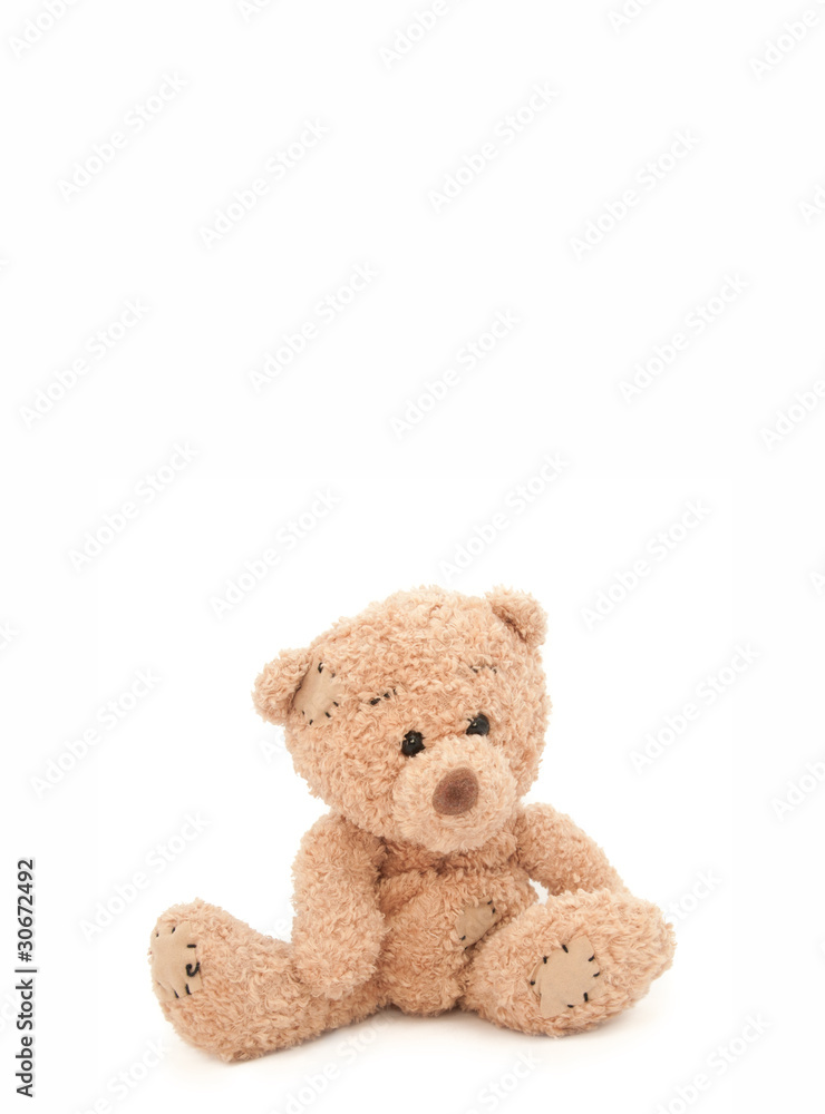 teddybär hellbraun - hochformat