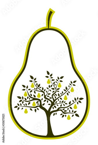 pear tree in pear