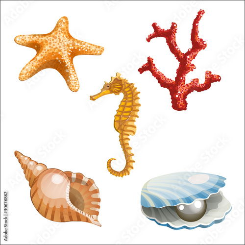 set of marine life