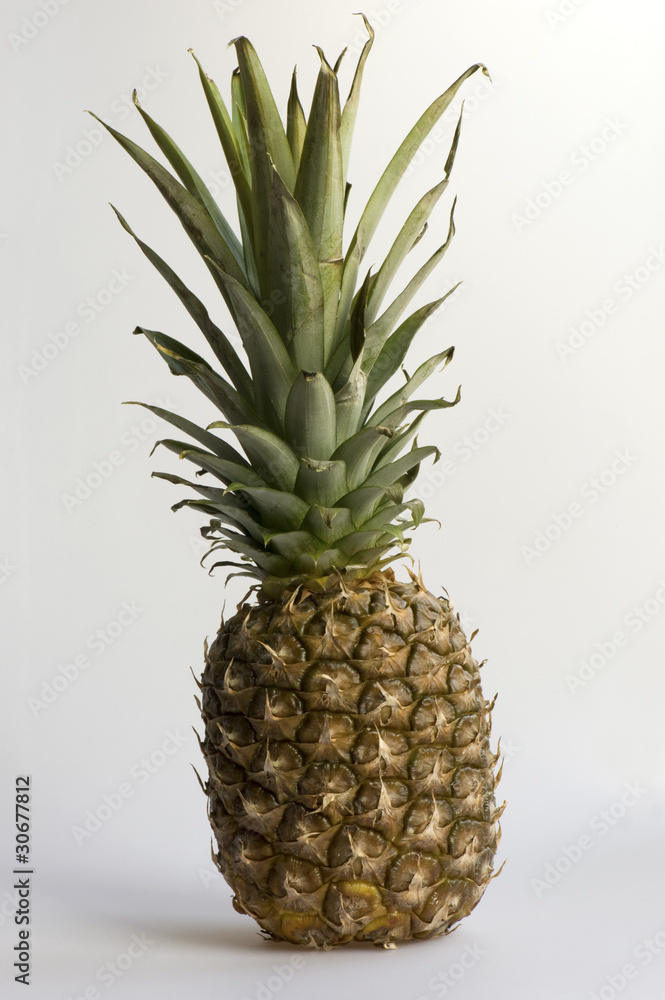 whole pineapple whole pineapple
