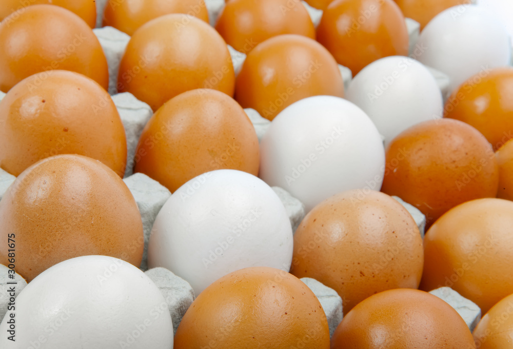 Eggs Eggs