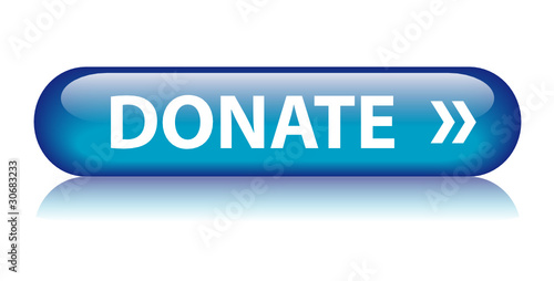 DONATE Web Button (make a donation charity give contribute now)