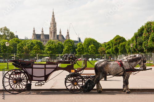 Wiener Rathaus, Rathaus Vienna photo