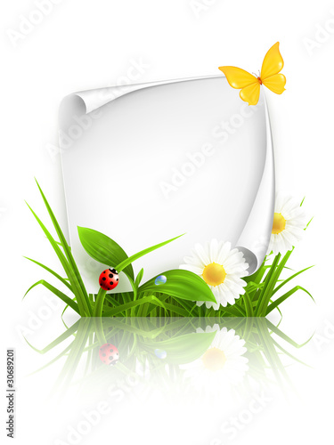 Spring frame