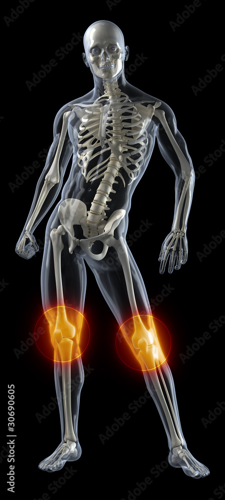 Human Knee Medical Scan Human Knee Medical Scan