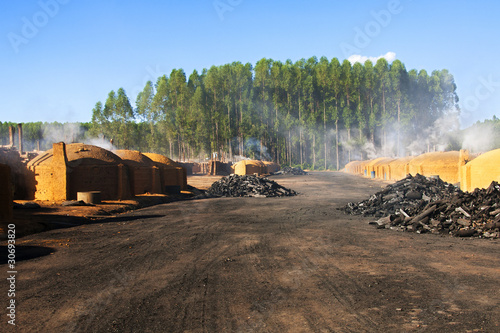 Fornos para a produção de carvão vegetal no Carajás photo