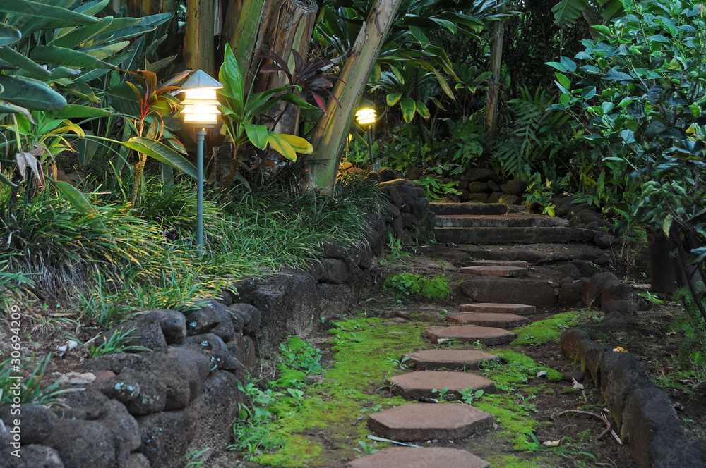 Obraz premium Pathway Stones in a Garden