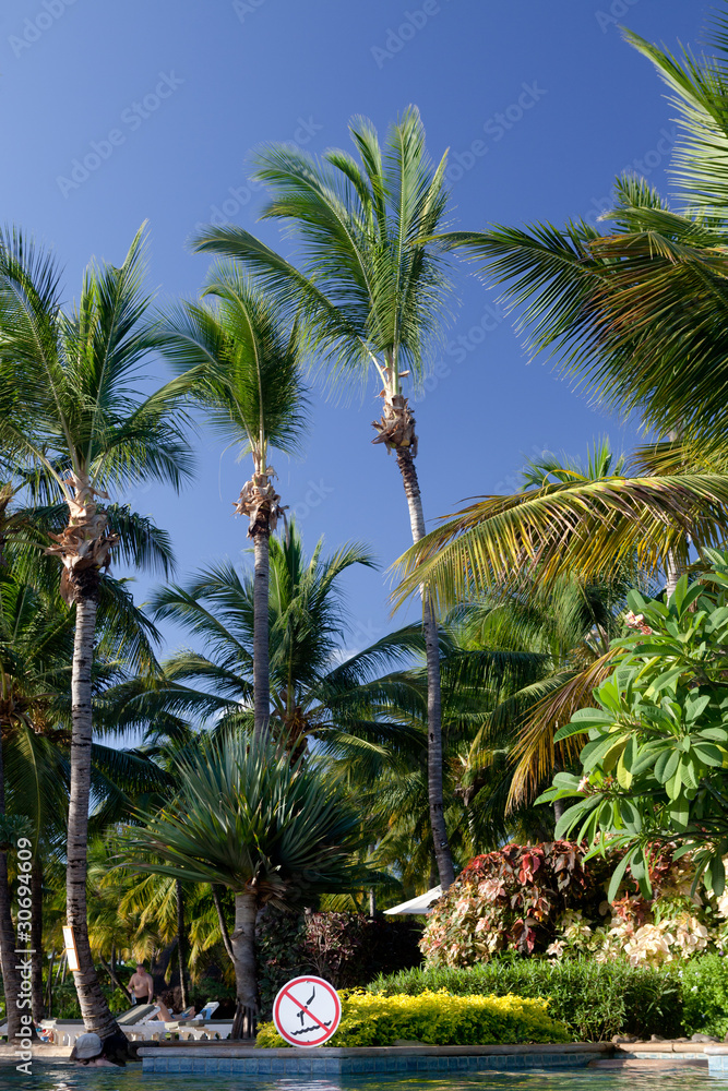 Fototapeta premium Piscine à l'île Maurice