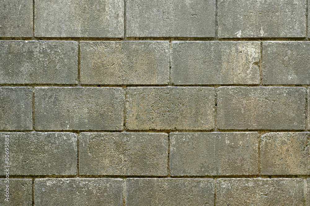 Obraz premium brick wall