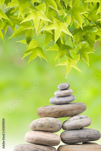Zen concept  fresh green Leaves and pebbles