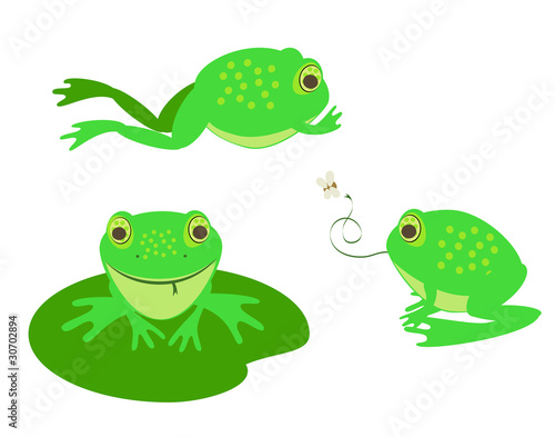a set of three different cute vector frogs