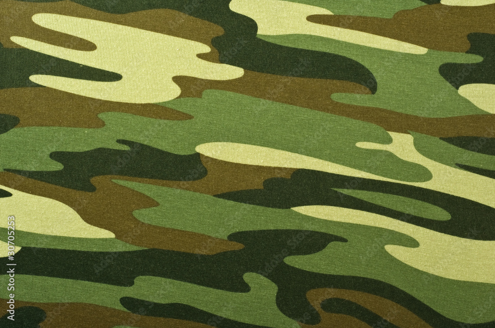 Fototapeta premium camouflage background