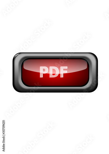 pdf icon