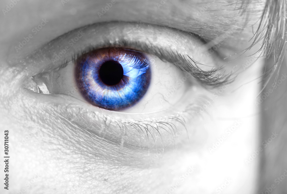 Fototapeta premium Mans blue eye closeup