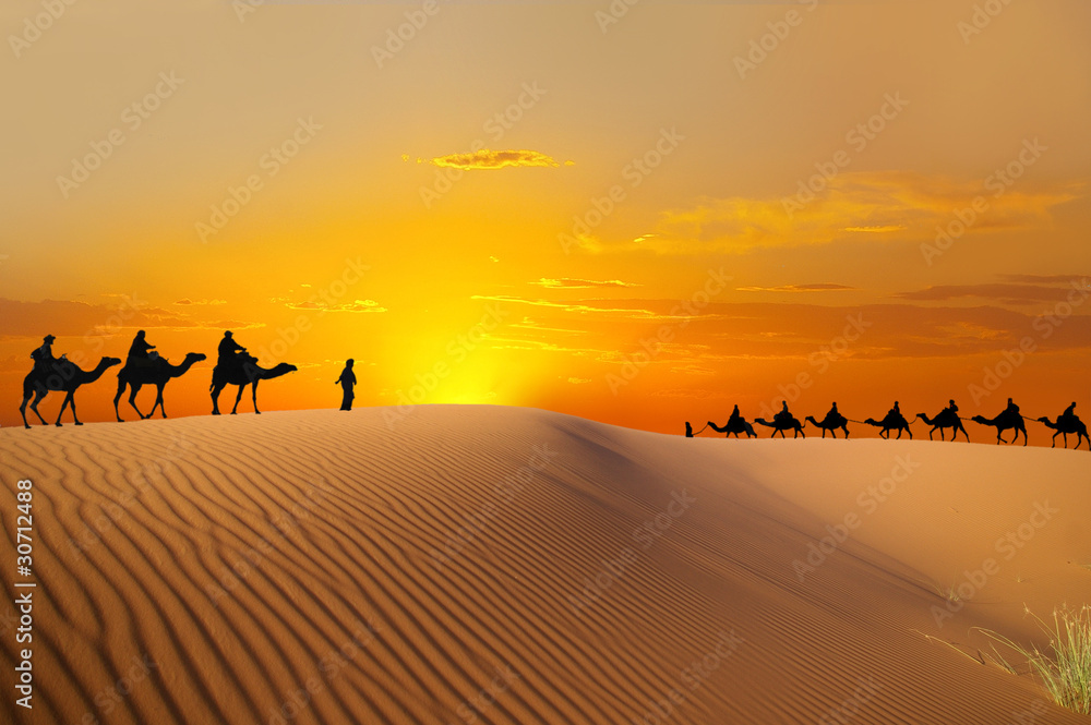Travel with camel - obrazy, fototapety, plakaty 