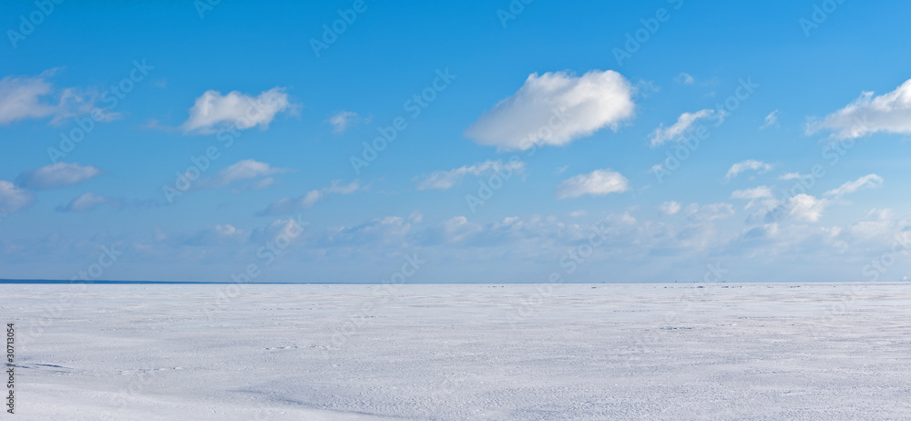 white landscape