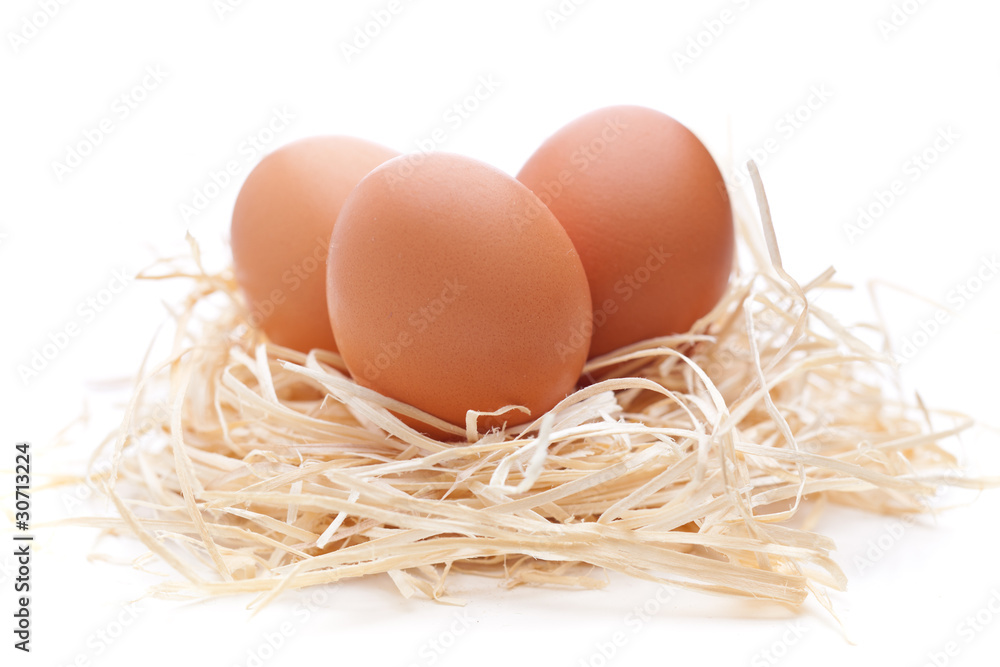 Eier im Nest auf weißem Hintergrund Eier im Nest auf weißem Hintergrund
