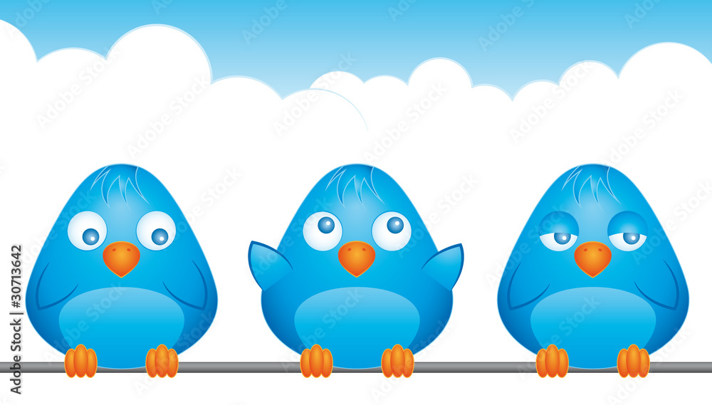 Obraz premium Blue birds