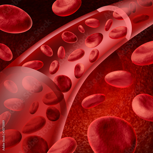 Fototapeta Naklejka Na Ścianę i Meble -  Red blood cells flowing in a vein and artery medical symbol