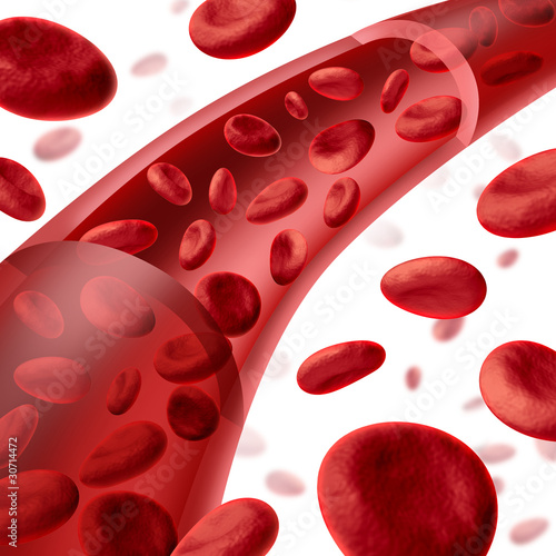 Canvas Print Blood cells flowing through veins and artery