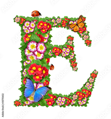 alphabet of primrose with butterfly and ladybug