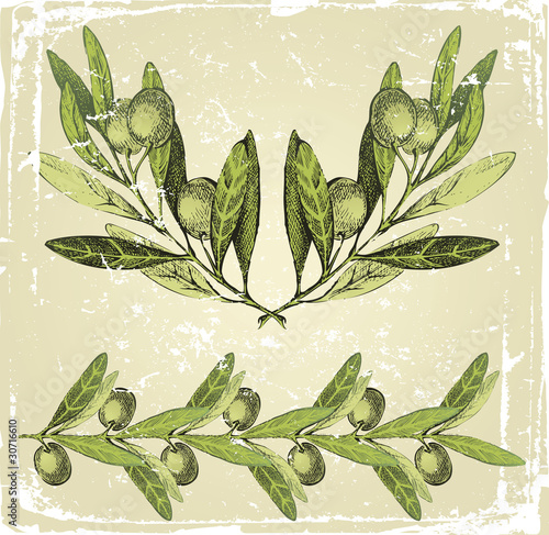 hand drawn olive branches ornament
