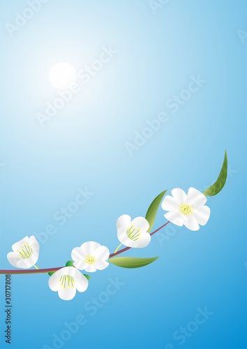 abstract flowers
