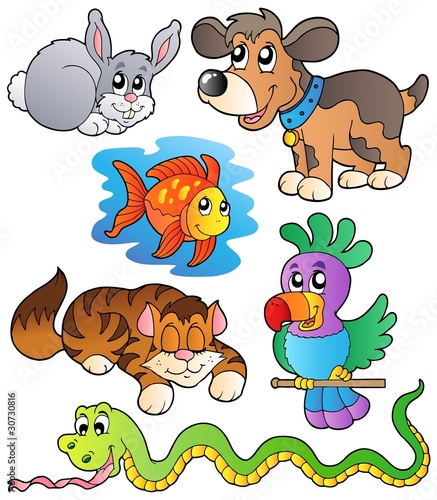Happy pets collection 1