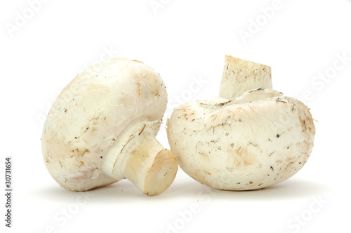 Champignons Isolated on White Background