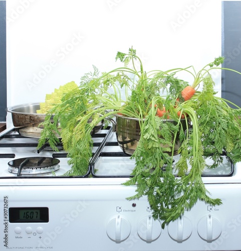 Fotografija carottes fanes dans une casserole sur la cuisinière à gaz