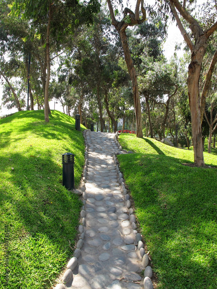 Garden stone path with grass growing up