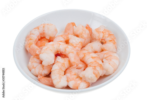 prepared shrimp isolated