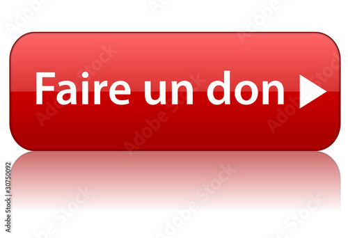 Bouton Web "FAIRE UN DON" (donner argent contribution aide)