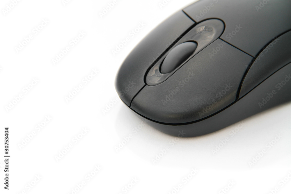 Computer Mouse right Computer Mouse right