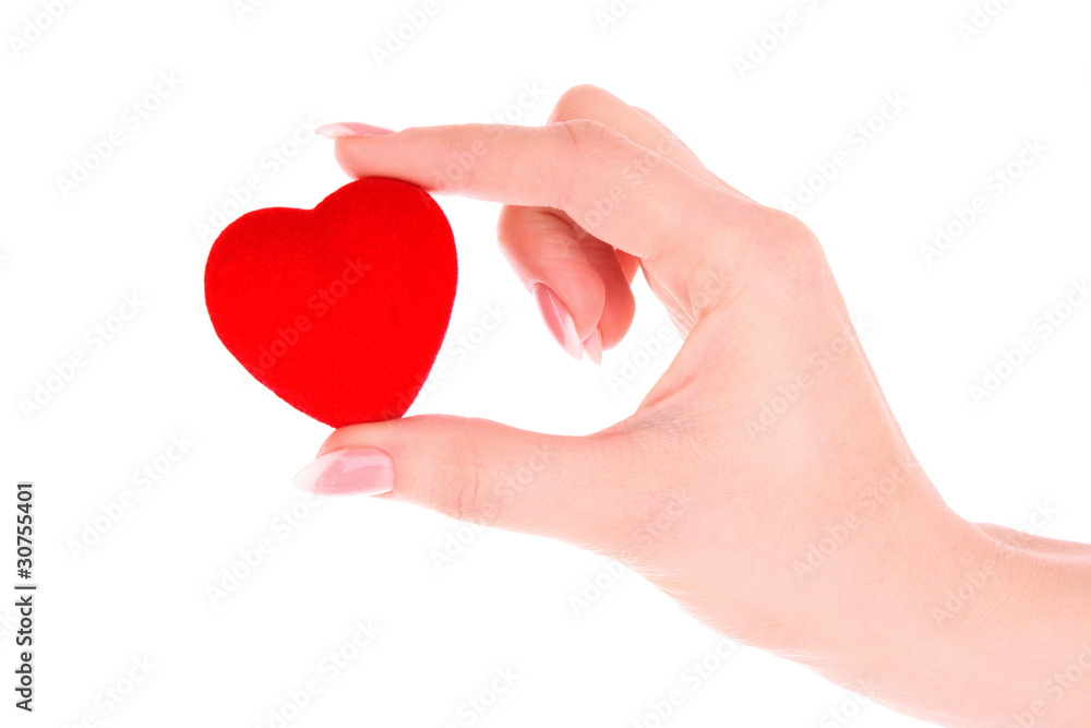 red heart in hand isolated on white red heart in hand isolated on white