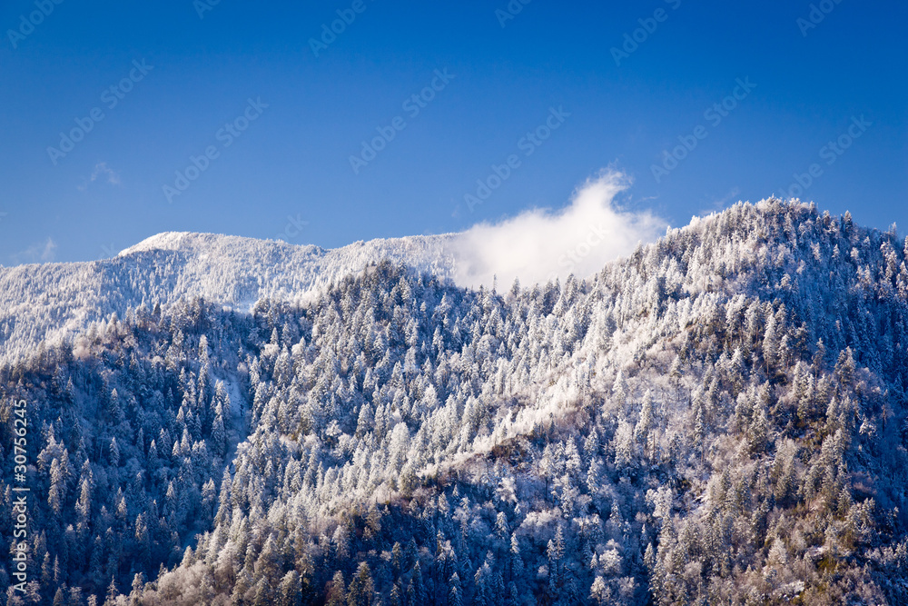 Obraz premium Mount leconte in snow in smokies