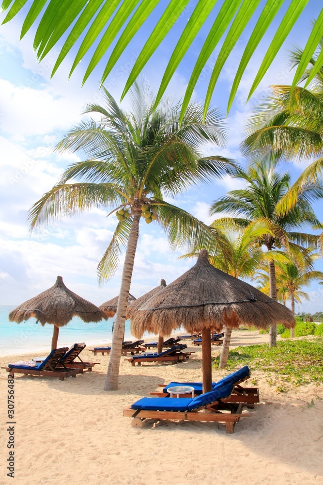 Mayan Riviera beach palm trees sunroof Caribbean