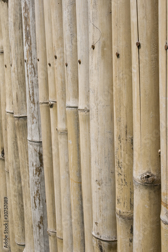 The wall build in bambo in asia.