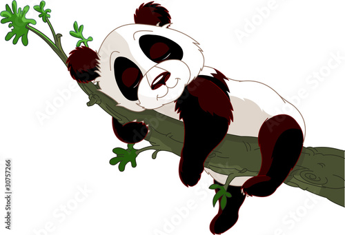 Panda sleeping on a branch
